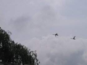 4TH%200F%20JULY%202006%20021.jpg